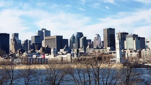 The Montreal skyline in daylight