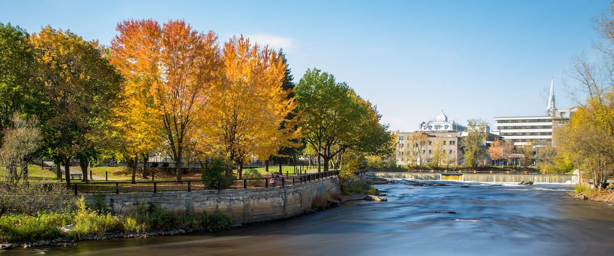 A river flowing through a park with autumn-colored trees and a bridge in the background.