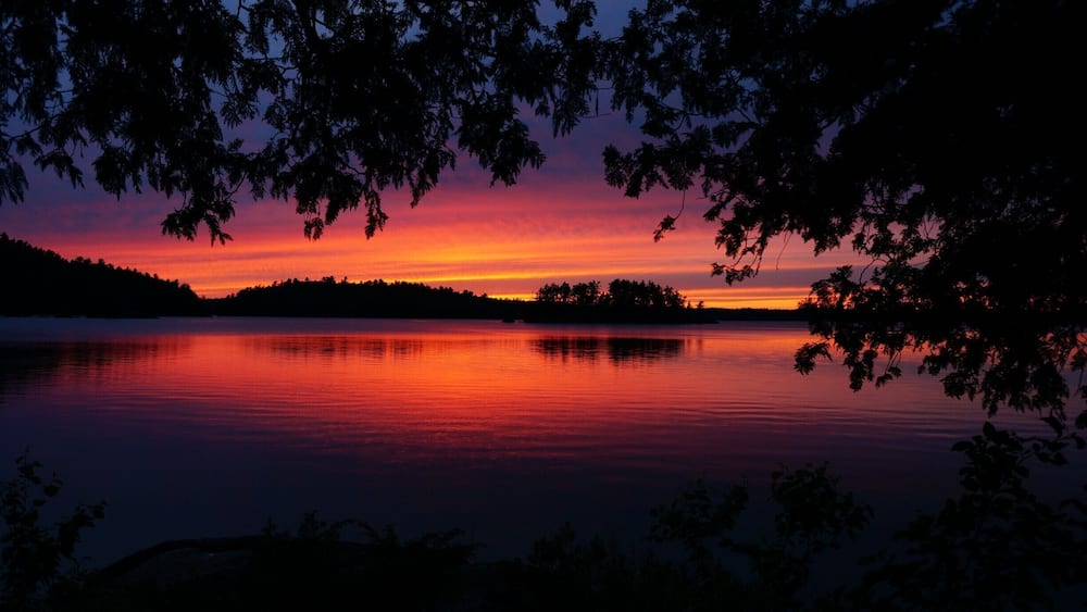 Un coucher de soleil sur un lac paisible, avec des arbres se découpant en silhouette et une rive bordée d’une forêt.