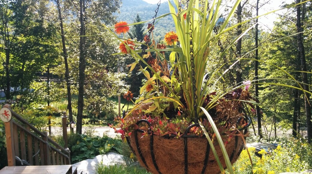 Cozy bed and breakfast with amazing hosts and very close to Jacques Cartier national park#lifeatexpedia