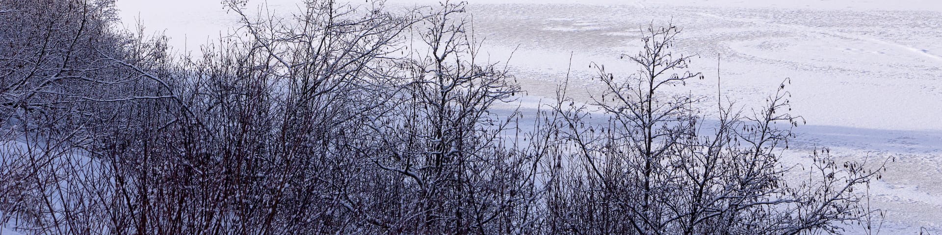 A snow-covered landscape with a house, dense evergreen trees, and a frozen lake.