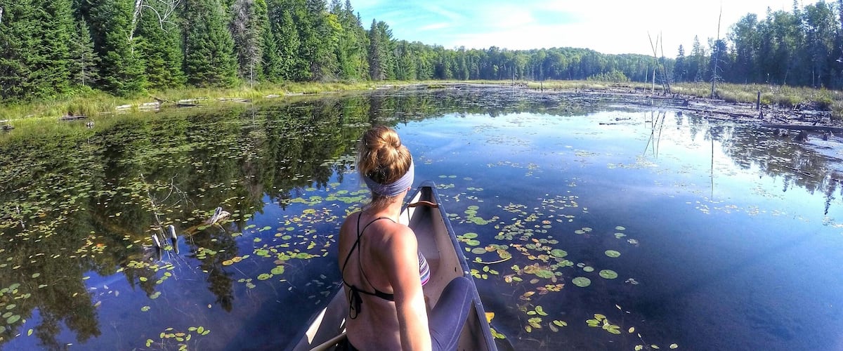 A person in a canoe on a calm river surrounded by dense forest.
