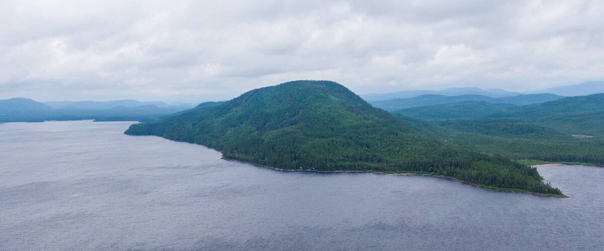 A forested island surrounded by a large body of water.