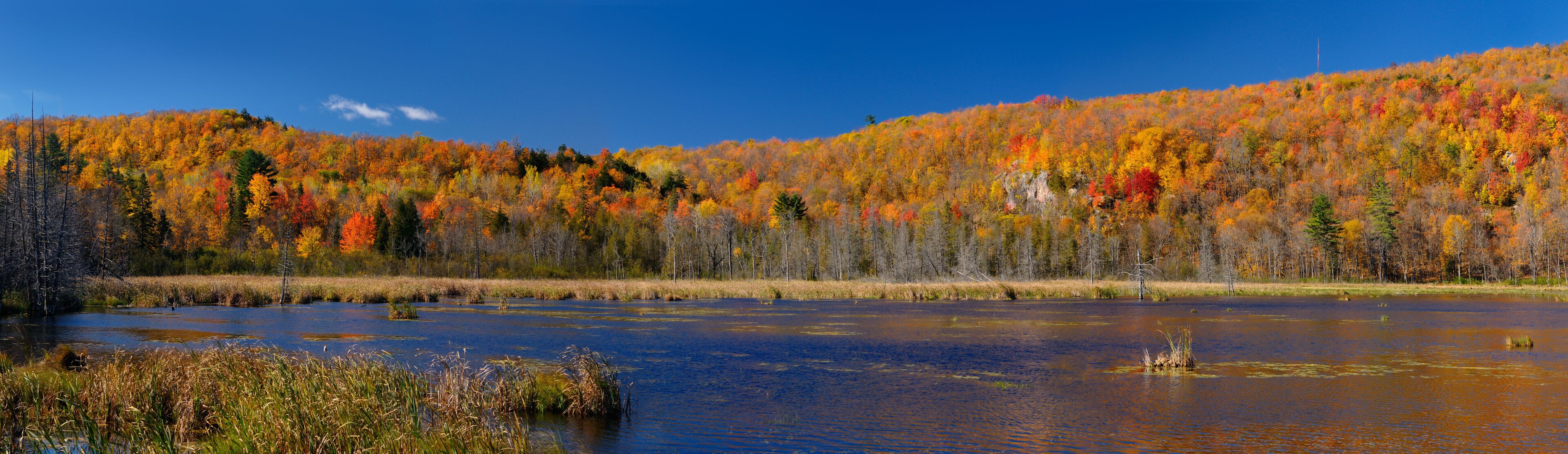 Panorama of a Gatineau Park lake in the Fall with colorful leaves at the back of Camp Fortune