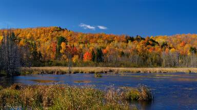 Panorama of a Gatineau Park lake in the Fall with colorful leaves at the back of Camp Fortune