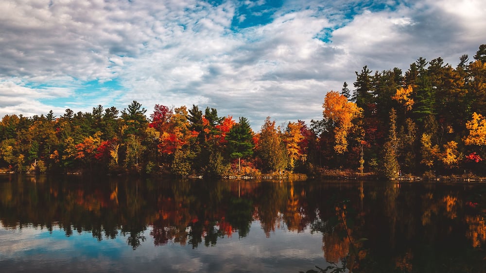 Fall Foliage in Gatineau Park near Ottawa, Ontario in October