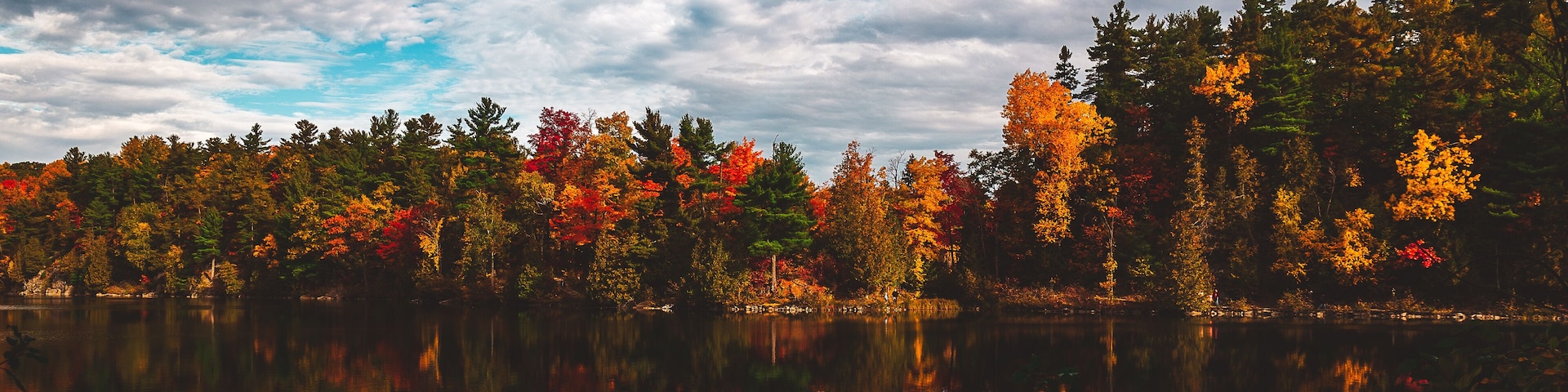 Fall Foliage in Gatineau Park near Ottawa, Ontario in October