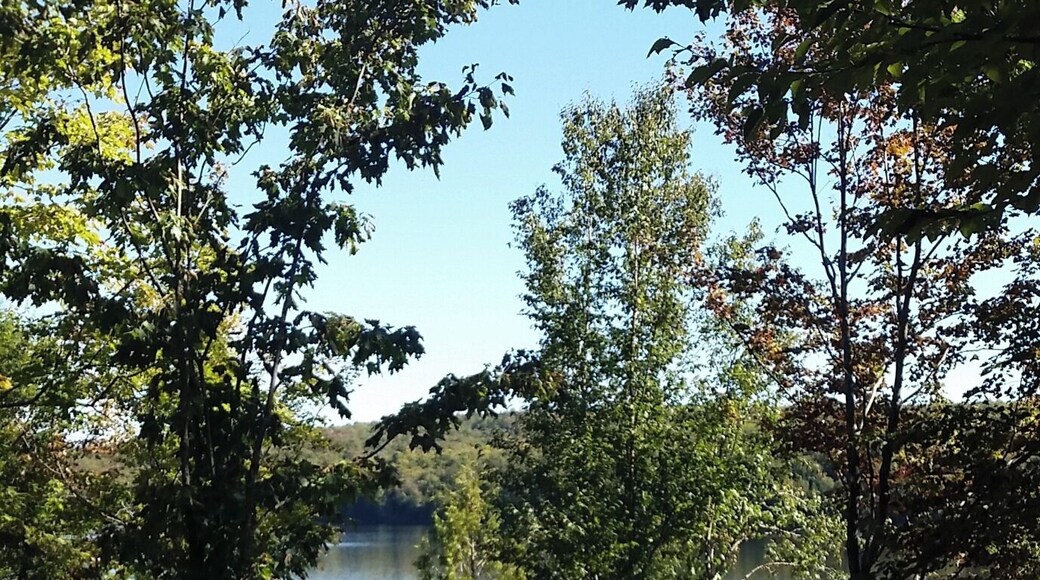 Love splashing in the #Blue of Lac Breeches. Cold water harvests the best memories.