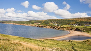 Paisagem costeira com praia arenosa, águas calmas e colinas ao fundo com casas dispersas.
