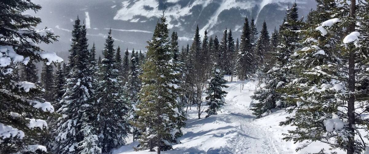 Winter hike in Gaspésie National Park ❄️