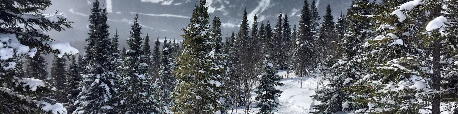 Winter hike in Gaspésie National Park ❄️