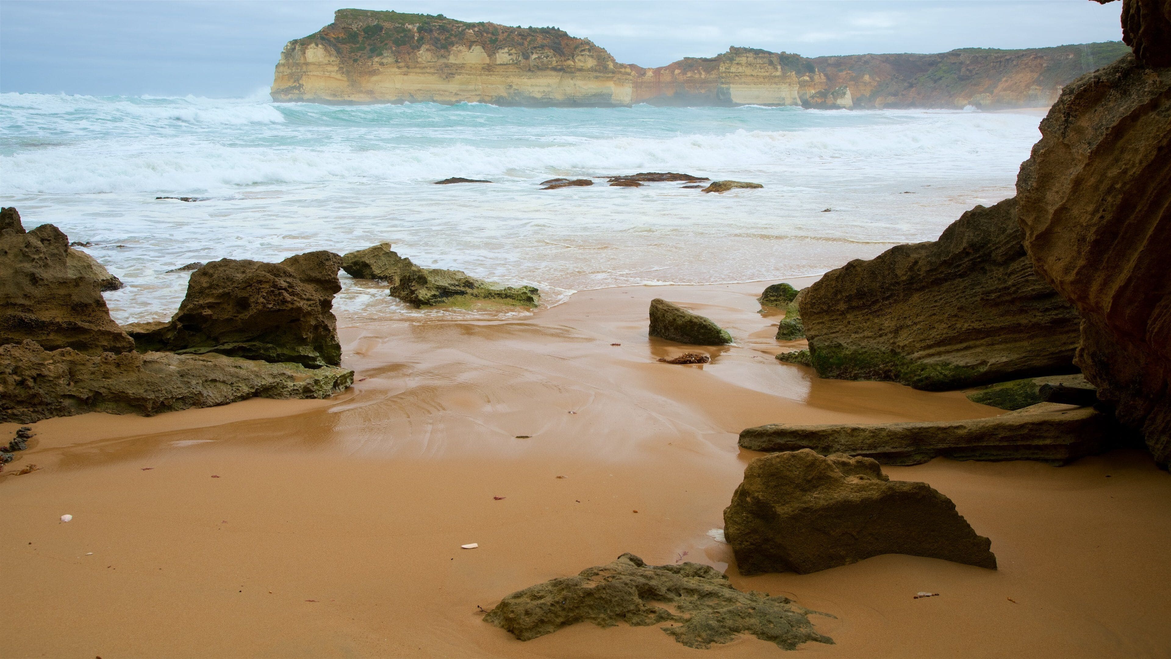 Sandy Cove which includes general coastal views, rugged coastline and a sandy beach