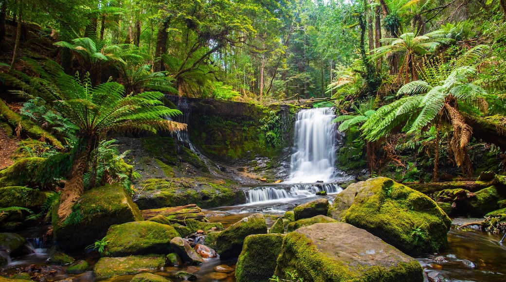 Horseshoe falls in Mount Field National Park in Tasmania, Australia
