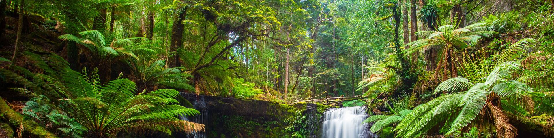 Horseshoe falls in Mount Field National Park in Tasmania, Australia