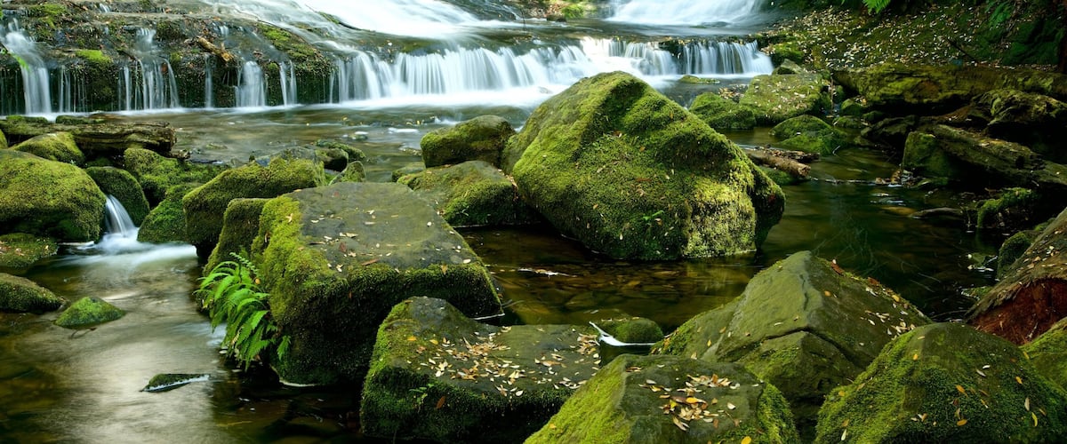 Mt. Parque Nacional Field