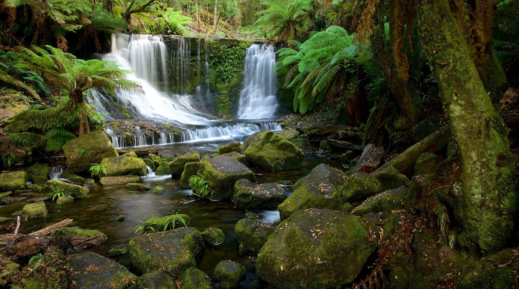 Mt. Field National Park