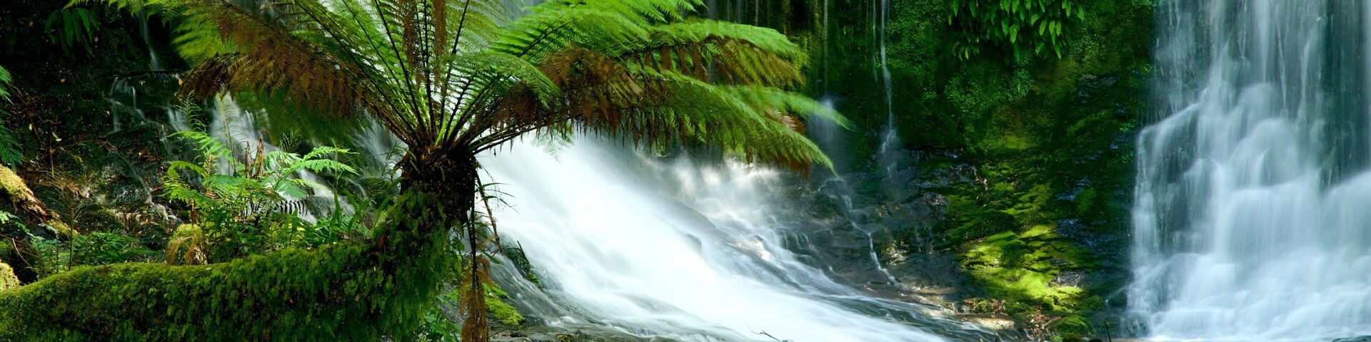 Mt. Field National Park featuring a waterfall
