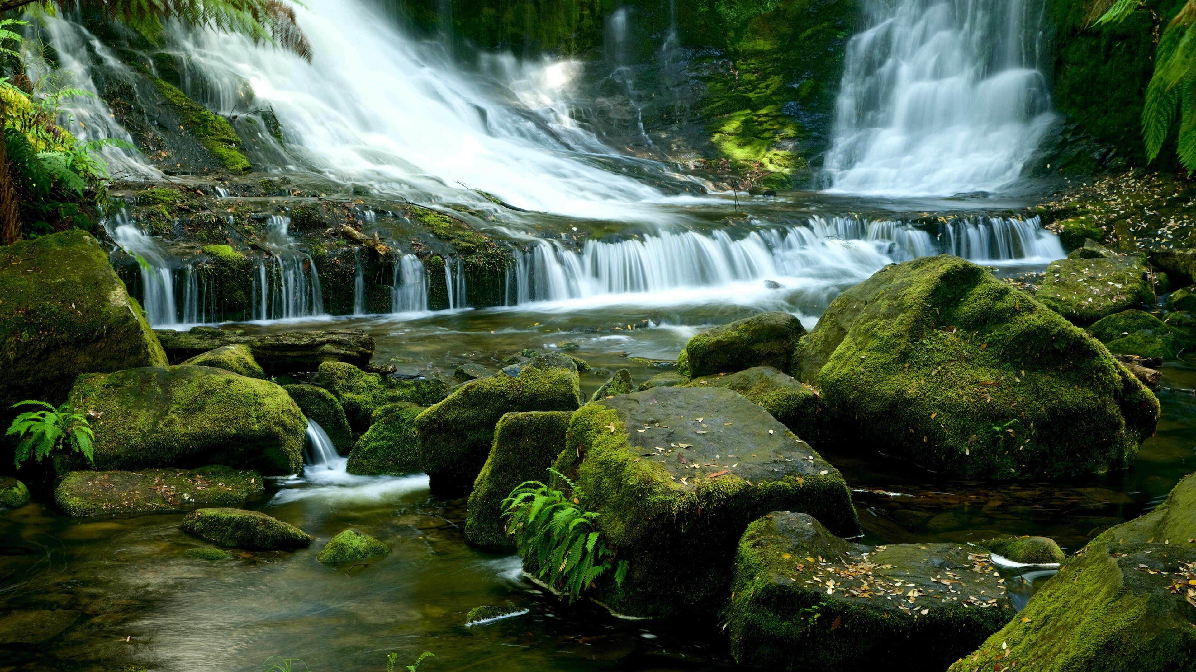 Horseshoe Falls which includes a river or creek and a cascade