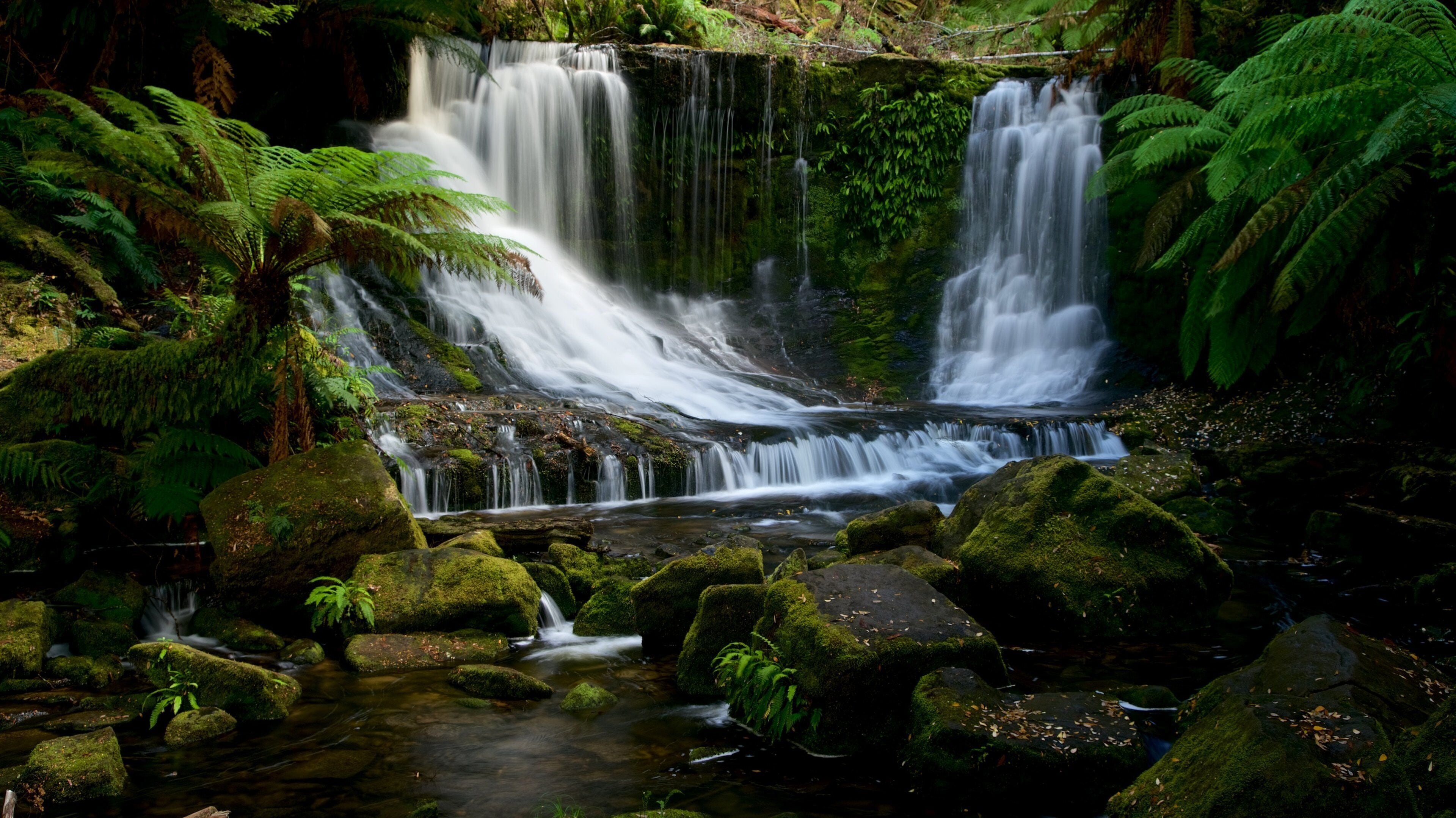 Horseshoe Falls which includes a river or creek, a waterfall and forest scenes