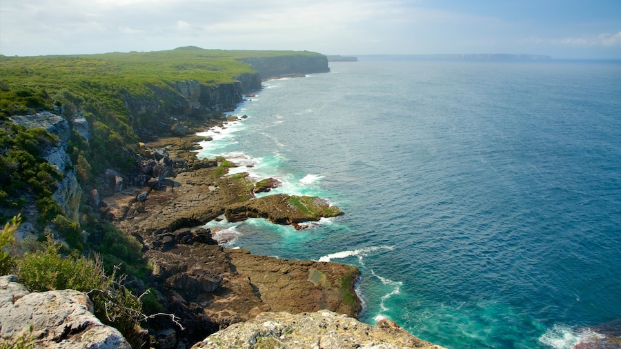Sanctuary Point showing waves and rocky coastline