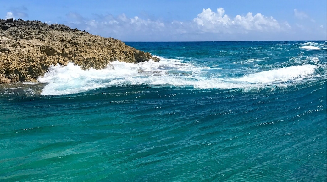 Our half day adventure with Exuma Watersports took us to where the Atlantic Ocean meets the Caribbean Sea
#Exuma #Bahamas #boat #beachbound #waterlust #summertimefun