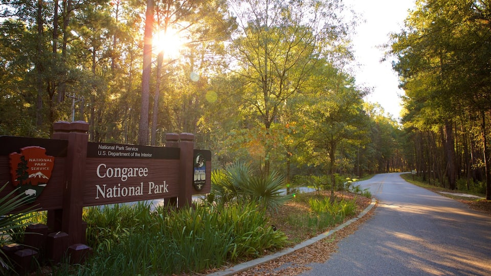 Congaree National Park entrance sign, a road, and surrounding forest.