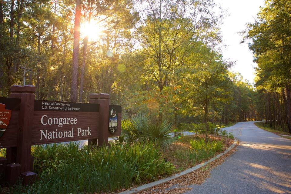 Schild des Congaree National Park, eine Straße und umgebender Wald.