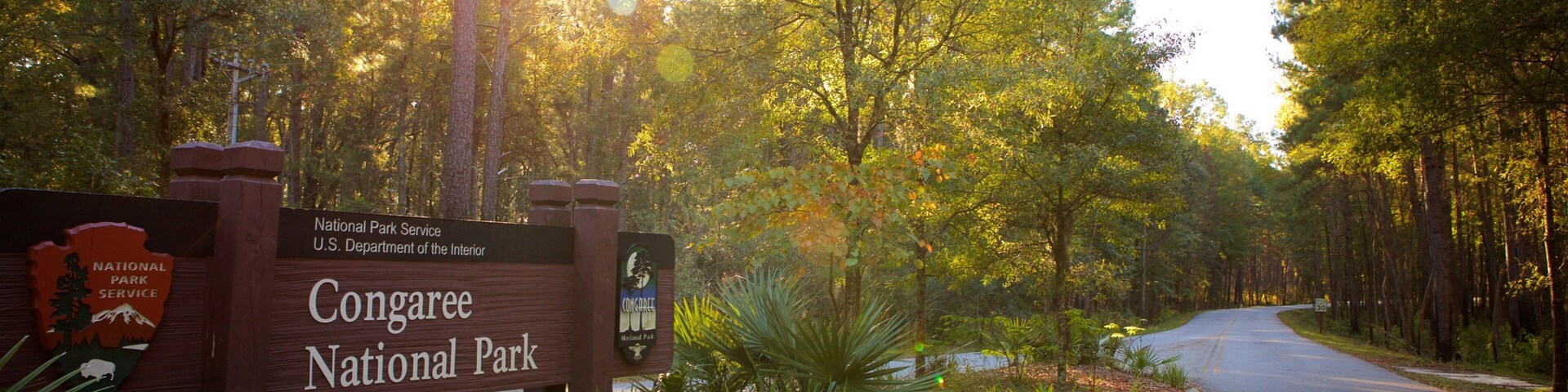 Columbia mostrando florestas, um pôr do sol e sinalização