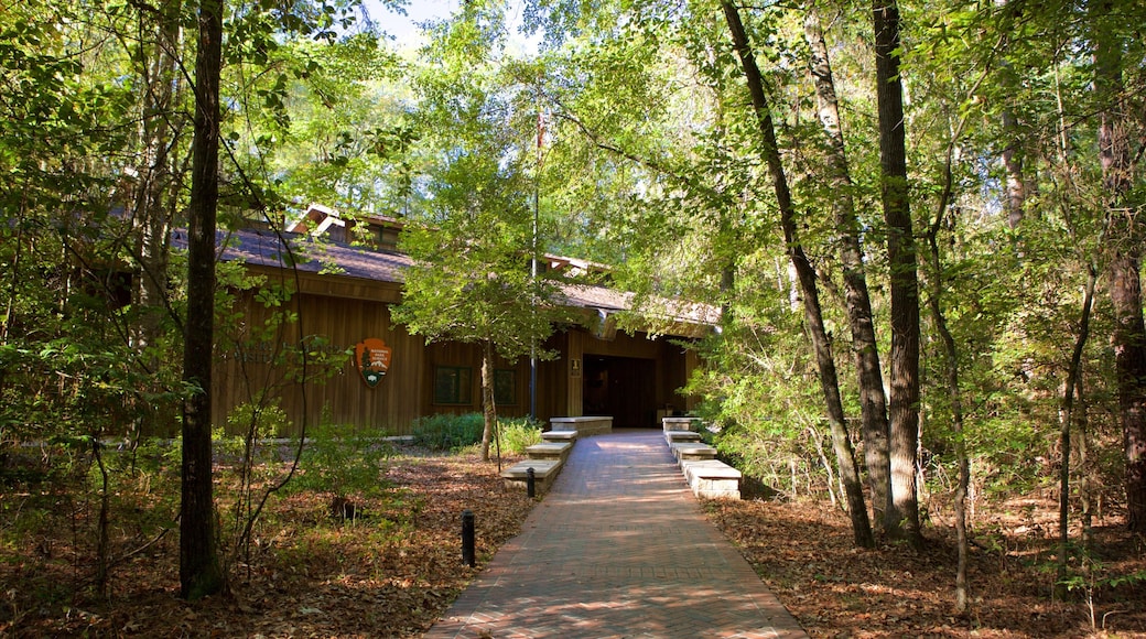 Harry Hampton Visitor Center which includes forest scenes and a garden