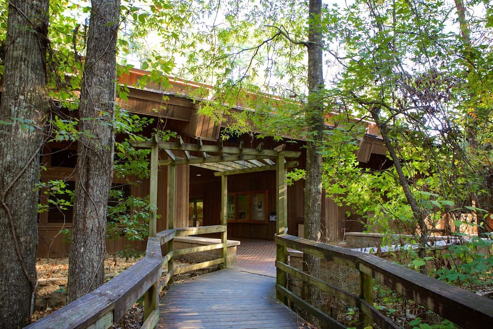 A wooden bridge leading to a covered wooden building surrounded by trees.