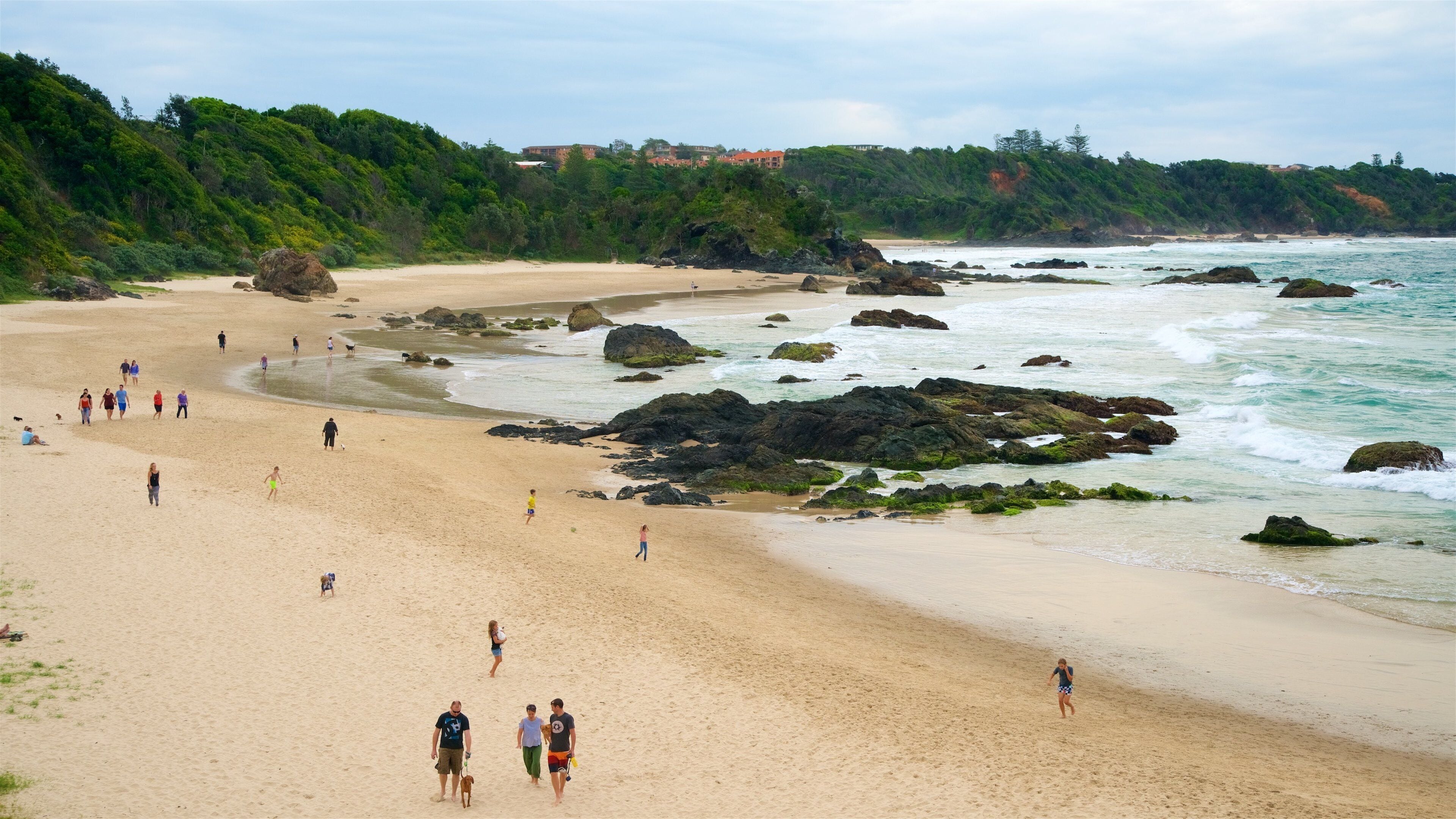 Nobbys Beach showing general coastal views, landscape views and a beach