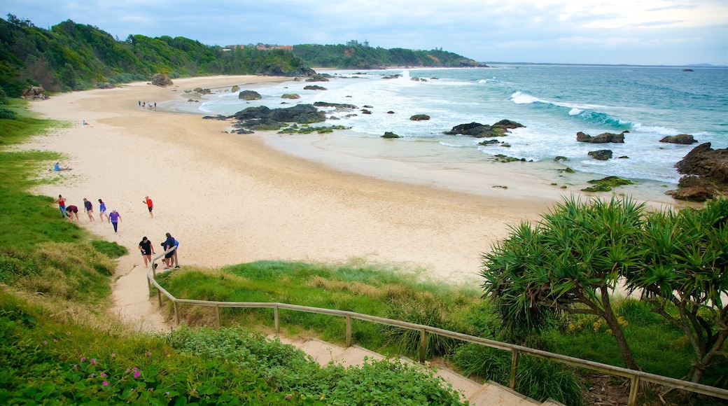 Nobbys Beach which includes landscape views, general coastal views and a beach