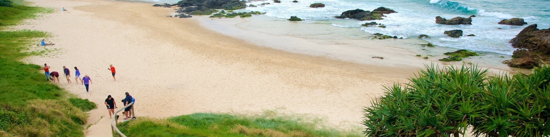 Nobbys Beach which includes landscape views, general coastal views and a beach