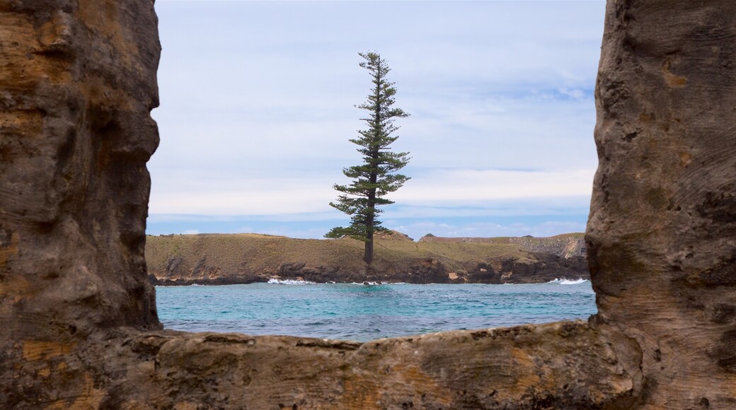 Norfolk Island showing general coastal views