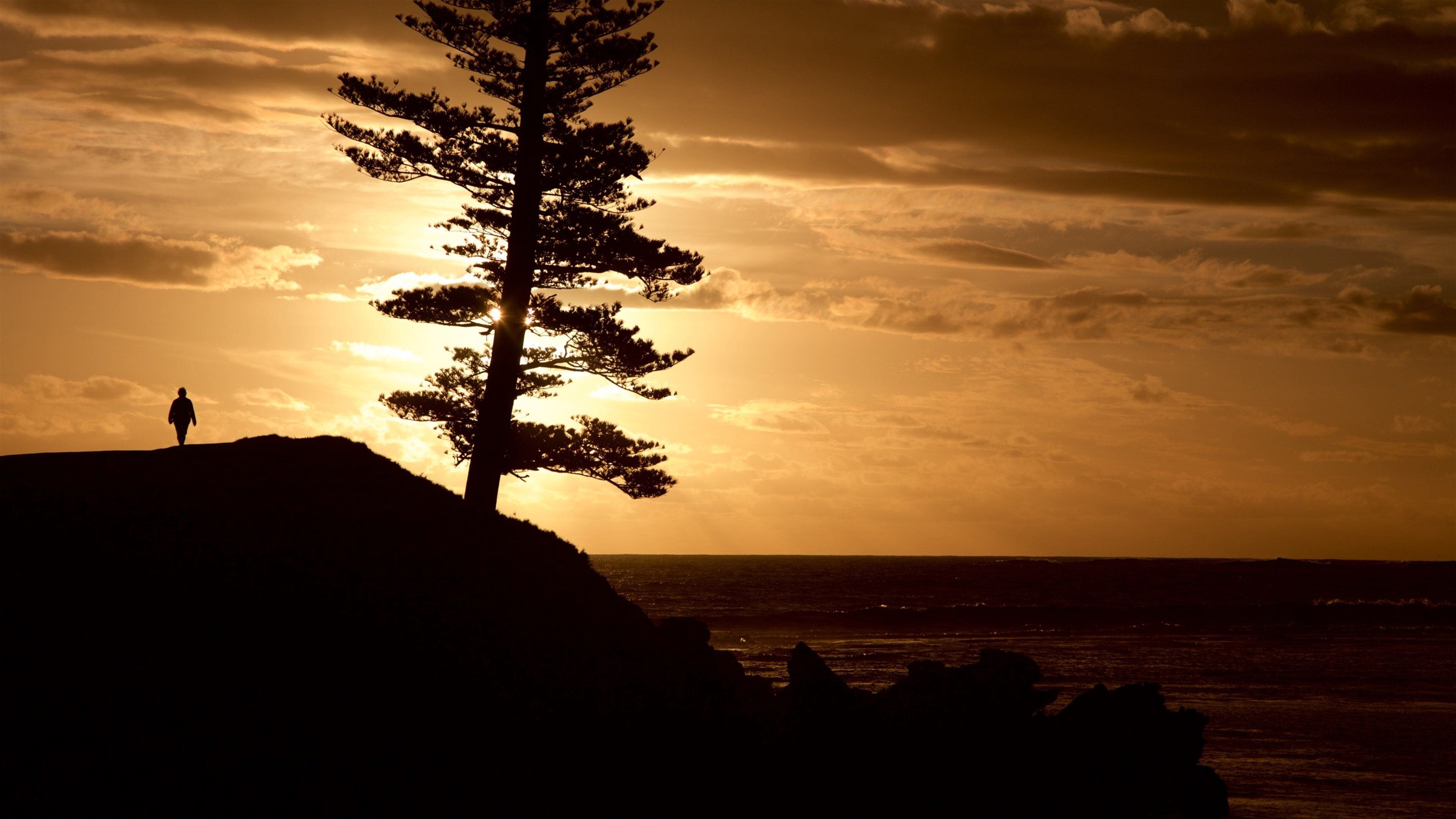 Norfolk Island which includes a sunset and general coastal views