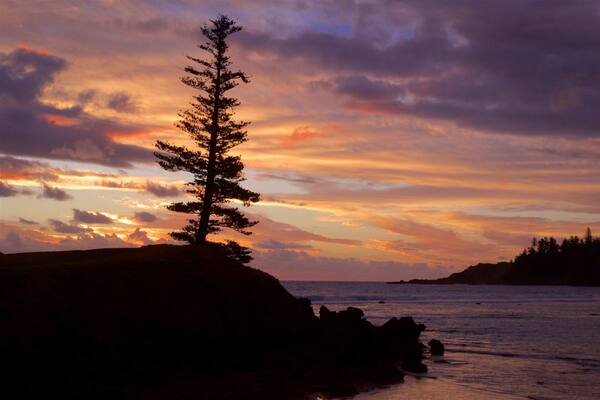 Norfolk-Insel das einen Sonnenuntergang und allgemeine KĂŒstenansicht