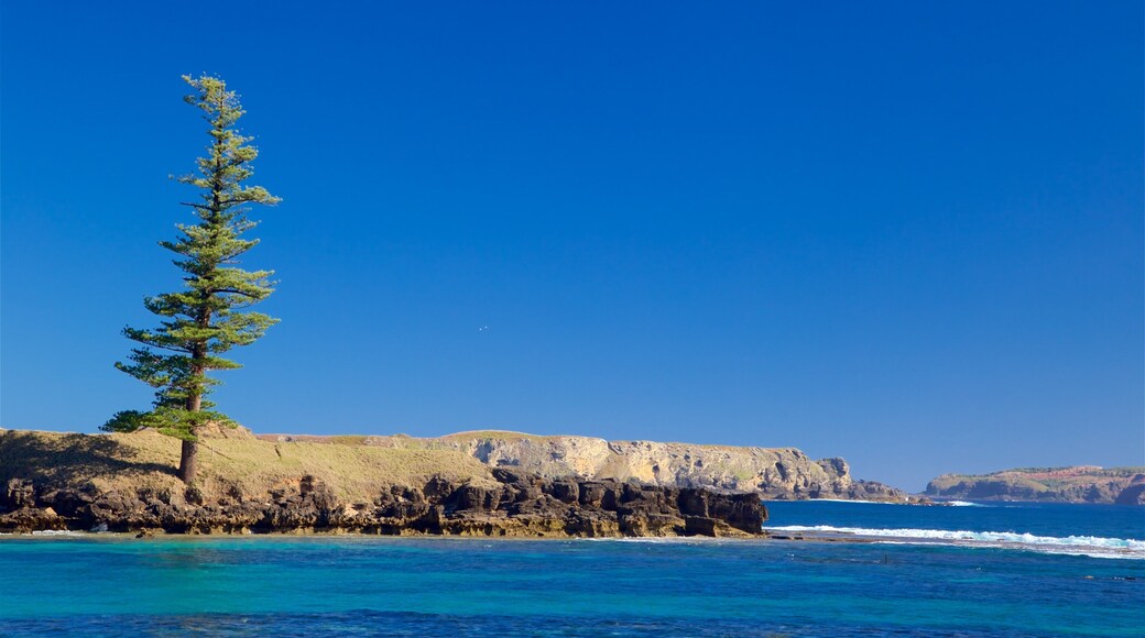 Norfolk Island showing rugged coastline and general coastal views