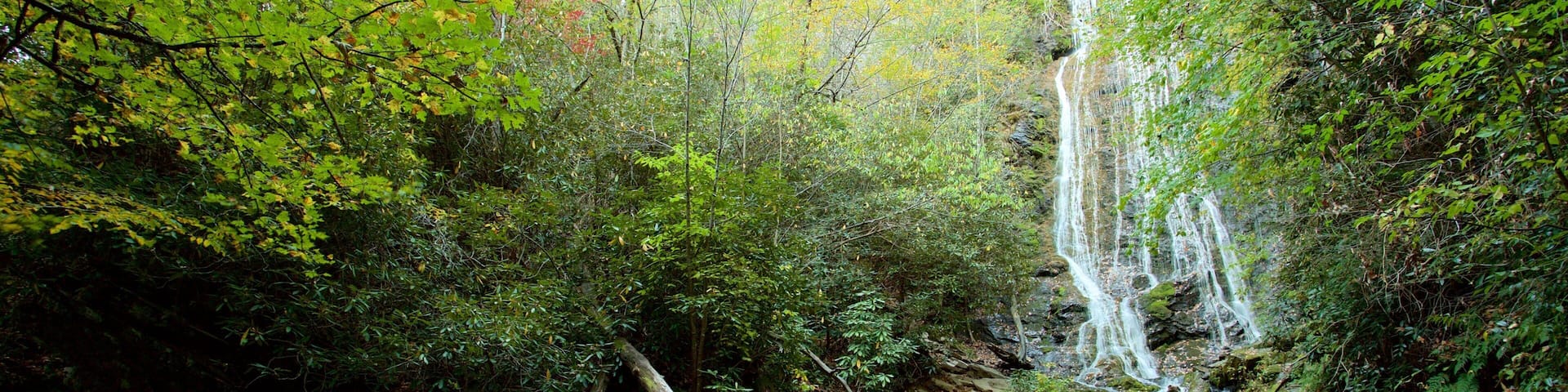 A wooden bridge over a rocky stream with a waterfall in a forested area.
