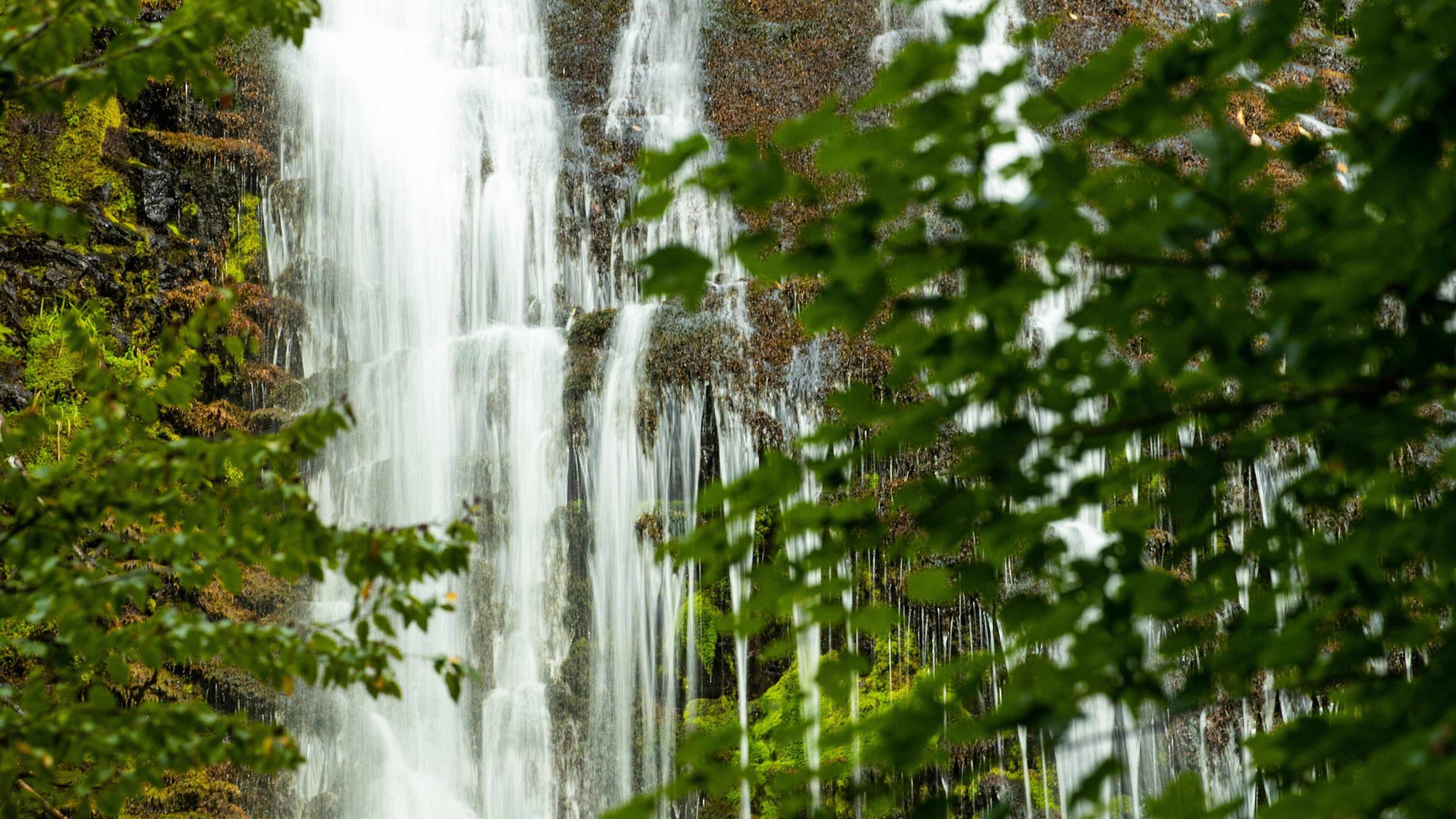 Mingo Falls which includes a waterfall