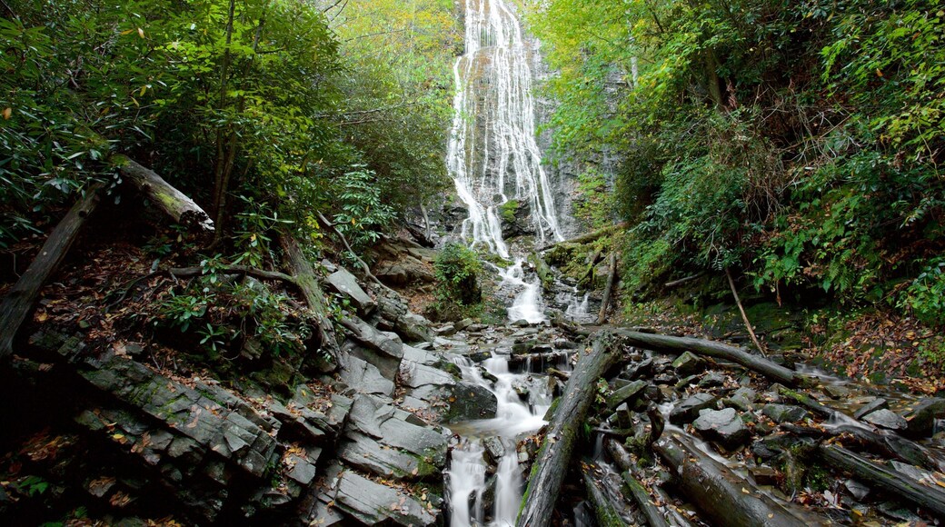Great Smoky Mountains National Park featuring mountains, forest scenes and a cascade