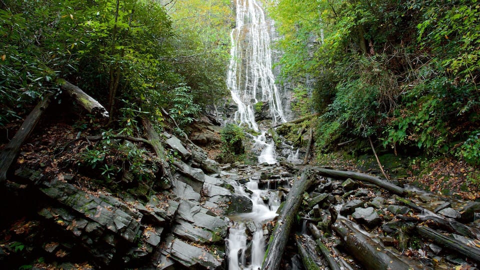 A waterfall cascading over rocks in a forested area.