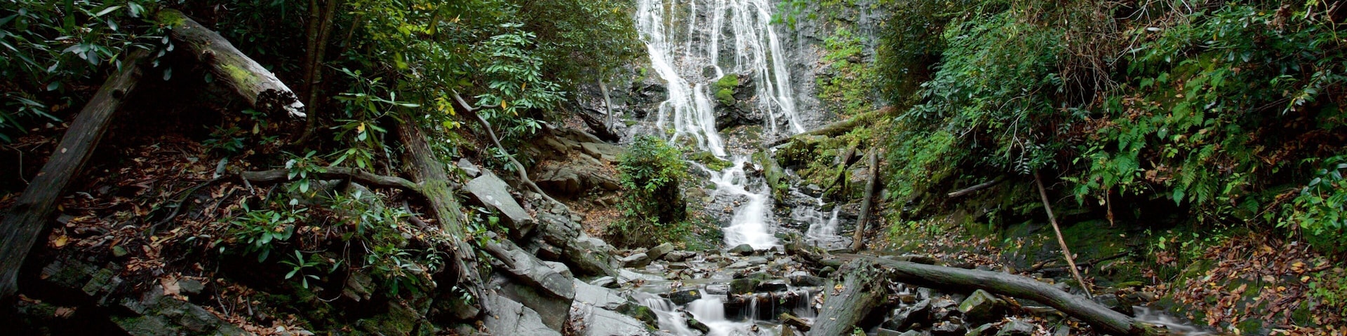 ๊ทธ๋ ์ดํธ ์ค๋ชจํค ์ฐ๋งฅ ๊ตญ๋ฆฝ๊ณต์ ์ด ํฌํจ ์ฒ ํ๊ฒฝ, ์ฐ ๊ณผ ํญํฌ