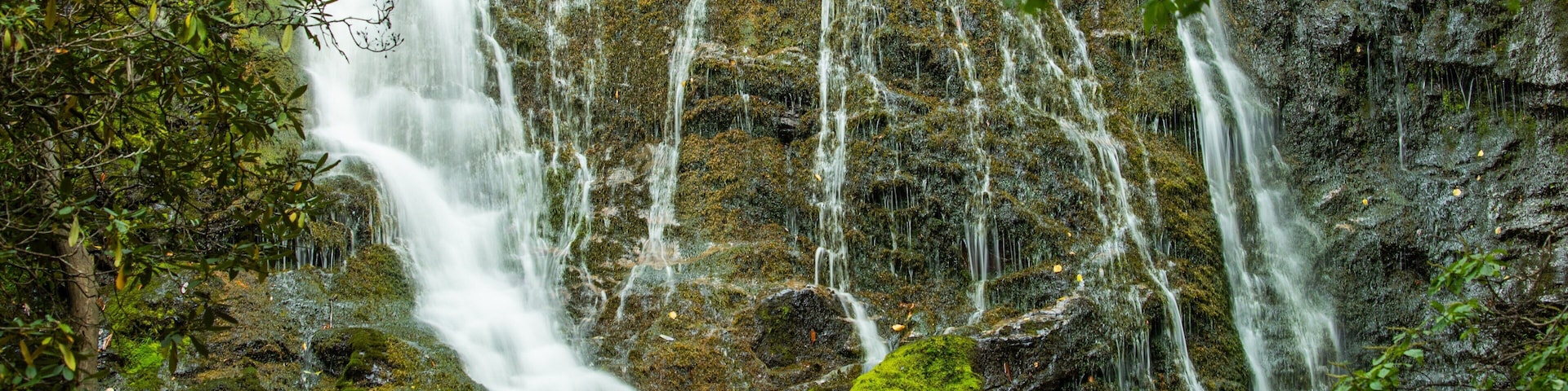 Mingo Falls showing a waterfall