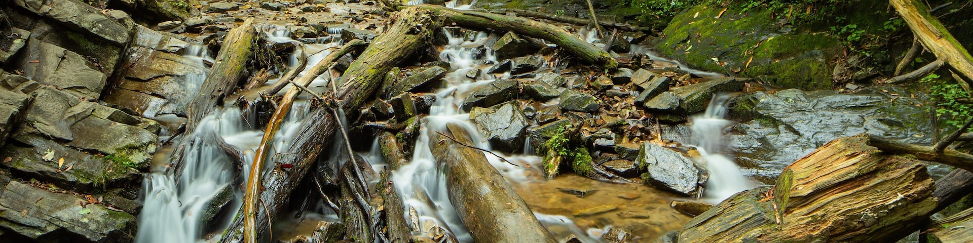 Mingo Falls which includes a river or creek and a cascade