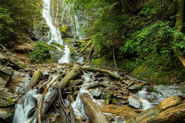 Mingo Falls which includes a river or creek and a cascade