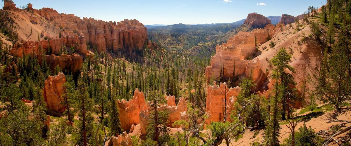 Bryce Canyon National Park which includes tranquil scenes, desert views and a gorge or canyon