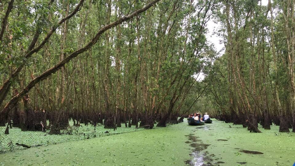 A waterlogged forest with people in boats.