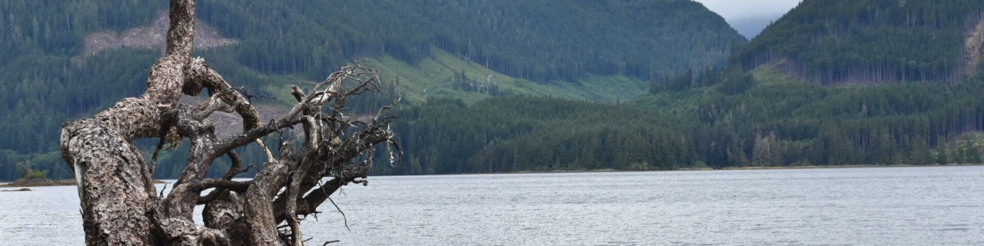 Port is a VERY quiet village. Make sure have plenty of fuel in your car! http://www.robertsrulesoftravel.com/falling-toward-port-hardy/