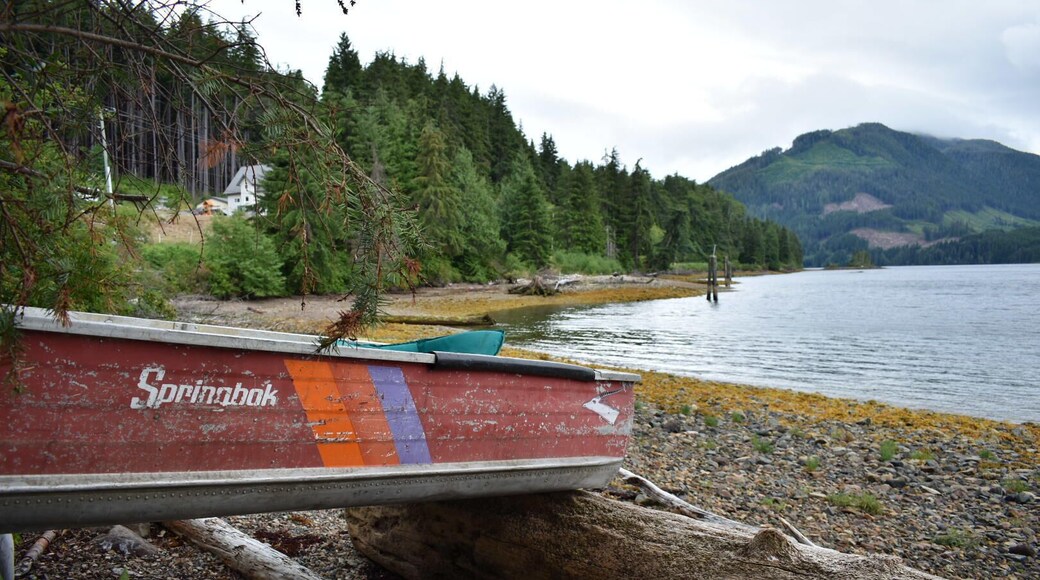 Port is a VERY quiet village. Make sure have plenty of fuel in your car! http://www.robertsrulesoftravel.com/falling-toward-port-hardy/