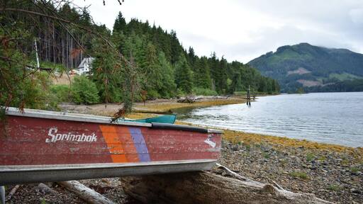 Port is a VERY quiet village. Make sure have plenty of fuel in your car! http://www.robertsrulesoftravel.com/falling-toward-port-hardy/